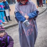 Faschingszug 2015